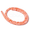 Natural Freshwater Shell Beads Strands SSHEL-C013-07A-2