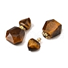 Natural Tiger Eye Perfume Bottle Pendants G-L623-12G-01-2