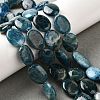 Natural Apatite Beads Strands G-Q026-A01-03-2