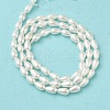 Electroplate Shell Pearl Beads Strands BSHE-G010-4x6mm-01-3