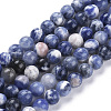Natural Sodalite Beads Strands G-K410-02-8mm-1
