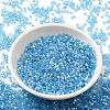 Transparent Colours Luster Glass Seed Beads SEED-S042-20B-05-2