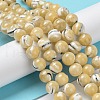 Natural Trochus Shell Beads Strands BSHE-P033-03B-2