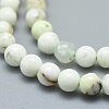 Natural Australian Turquoise(Jasper) Beads Strands G-D0010-06A-4mm-3