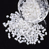 8/0 Two Cut Glass Seed Beads SEED-S033-14A-01-1