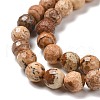 Natural Picture Jasper Beads Strands G-E571-28A-4