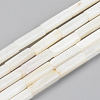 Natural Freshwater Shell Beads Strands SSHEL-R048-006C-1