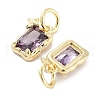 Brass Micro Pave Cubic Zirconia Charms KK-C051-10G-04-2