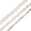 Fashewelry 3 Strands 3 Style Natural Freshwater Shell Beads Strands SHEL-FW0001-01-2