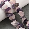 Natural Rose Quartz & Amethyst Beads Strands G-I283-F10-1