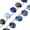 Natural Lapis Lazuli Beads Strands G-Q183-B12-01-2