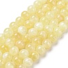 Natural Yellow Selenite Beads Strands G-N328-025E-03-1