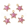 Alloy Enamel Charms ENAM-S121-024-2