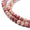 Natural Maifanite/Maifan Stone Beads Strands G-P451-01C-A-4
