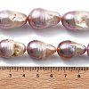Natural Nucleated Pearl Beads Strands PEAR-B004-15D-02D-5