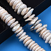 Natural Baroque Pearl Keshi Pearl Beads Strands PEAR-S018-05C-2