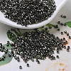 MIYUKI Delica Beads SEED-X0054-DB0254-1