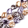 Electroplated Natural Freshwater Shell Beads Strands SHEL-R113-01C-1