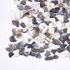 Black Lip Shell Beads MRMJ-S034-07-2