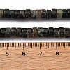 Natural Biotite Beads Strands G-L624-I12-3x6mm-5