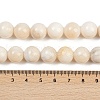 Natural White Jade Beads Strands G-F792-C01-02-5