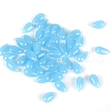 5Pcs Transparent Glass Beads X-GLAA-PW0001-25L-1