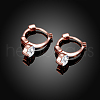 Fashion Popular Brass Micro Pave Cubic Zirconia Hoop Earrings EJEW-BB15420-3