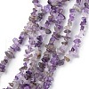 Natural Amethyst Beads Strands G-G0003-B14-1