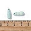Natural Rainbow Alashan Agate Charms G-G194-05A-3
