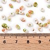 Baking Paint Glass Seed Beads SEED-C003-01J-3