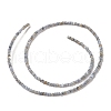 Natural Freshwater Shell Beads Strands SHEL-P017-01A-13-2