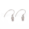 Non-Tarnish Ball 304 Stainless Steel Dangle Earrings EJEW-L215-54B-P-1