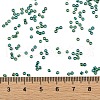 TOHO Round Seed Beads X-SEED-TR11-0179-4