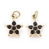 316 Surgical Stainless Steel Charms STAS-F256-024A-G-2