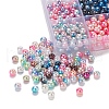 900Pcs 15 Style Rainbow ABS Plastic Imitation Pearl Beads OACR-YW0001-13-6