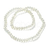 Electroplate Transparent Glass Beads Strands EGLA-A034-T4mm-T16-3