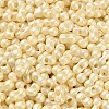 Glass Seed Beads SEED-L011-04A-09-3