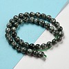 Natural Seraphinite Beads Strands G-E557-22C-01-4