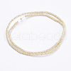 Electroplate Glass Beads Strands GLAA-F078-FR08-2
