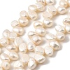 Natural Cultured Freshwater Pearl Beads Strands PEAR-I007-03G-01-2