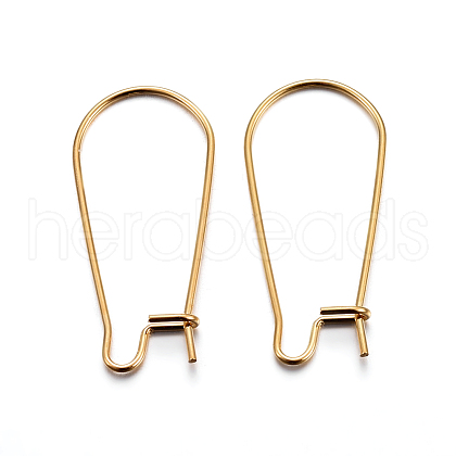 304 Stainless Steel Hoop Earring Findings X-STAS-P223-01G-03-1