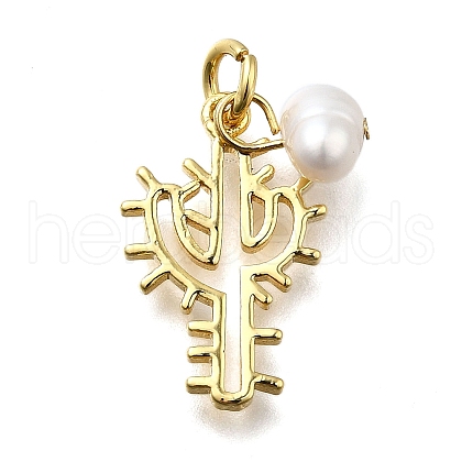 Brass Pendants KK-B132-10G-1