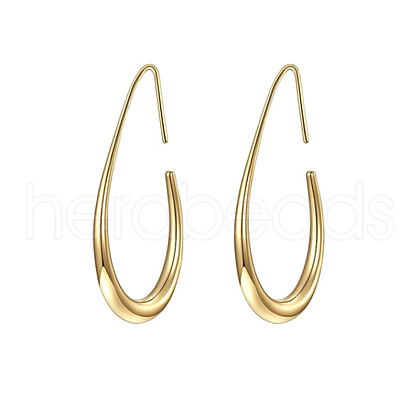 Teardrop Brass Dangle Earrings FS-WG1287F-01-1
