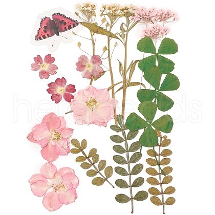 Pressed Dried Flowers DIY-YWC0001-95-1