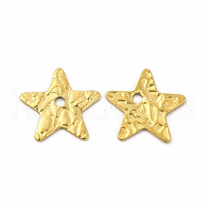 Ion Plating(IP) 304 Stainless Steel Charms STAS-F290-20G-1