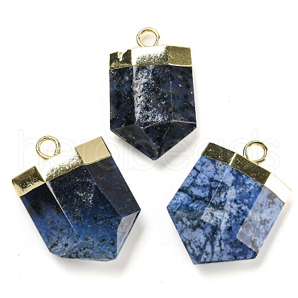 Natural Sodalite Pendants G-M431-05G-07-1