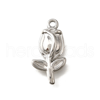 304 Stainless Steel Pendants STAS-C122-14P-1