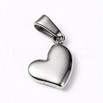Tarnish Resistant 304 Stainless Steel Charms X-STAS-I127-068P-1