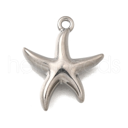 Ocean Series 304 Stainless Steel Charms STAS-H477-01C-P-1