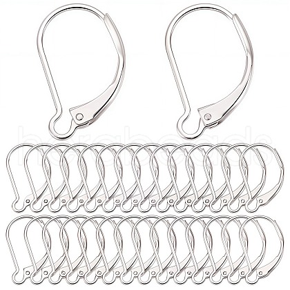 SUNNYCLUE 40Pcs Brass Leverback Earring Findings KK-SC0005-65-1